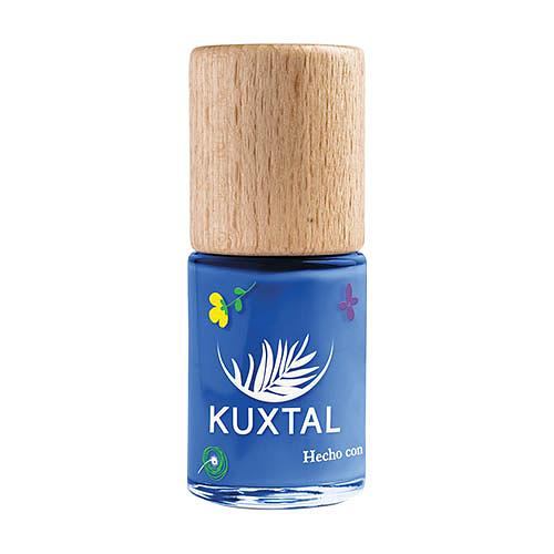 Kuxtal - Blueberry