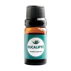 Kuxtal - Aceite Esencial de Eucalipto
