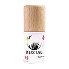 Kuxtal - No Bite