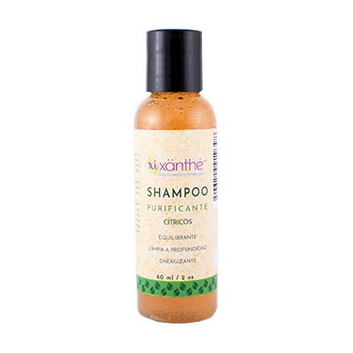 Xixanthé - Shampoo Purificante 60 Ml.